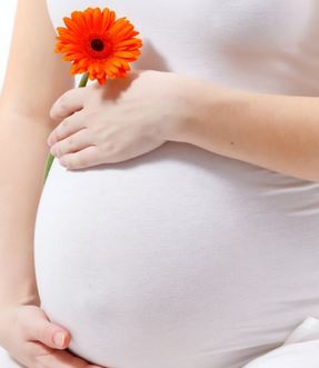  a female body will react by making changes and producing  Understanding Hormones of Pregnancy