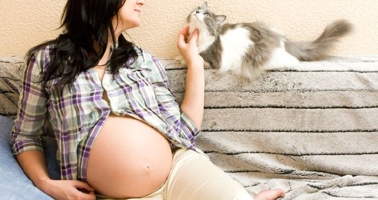 Perencanaan kehamilan memang penting dilakukan Torch dan Kehamilan